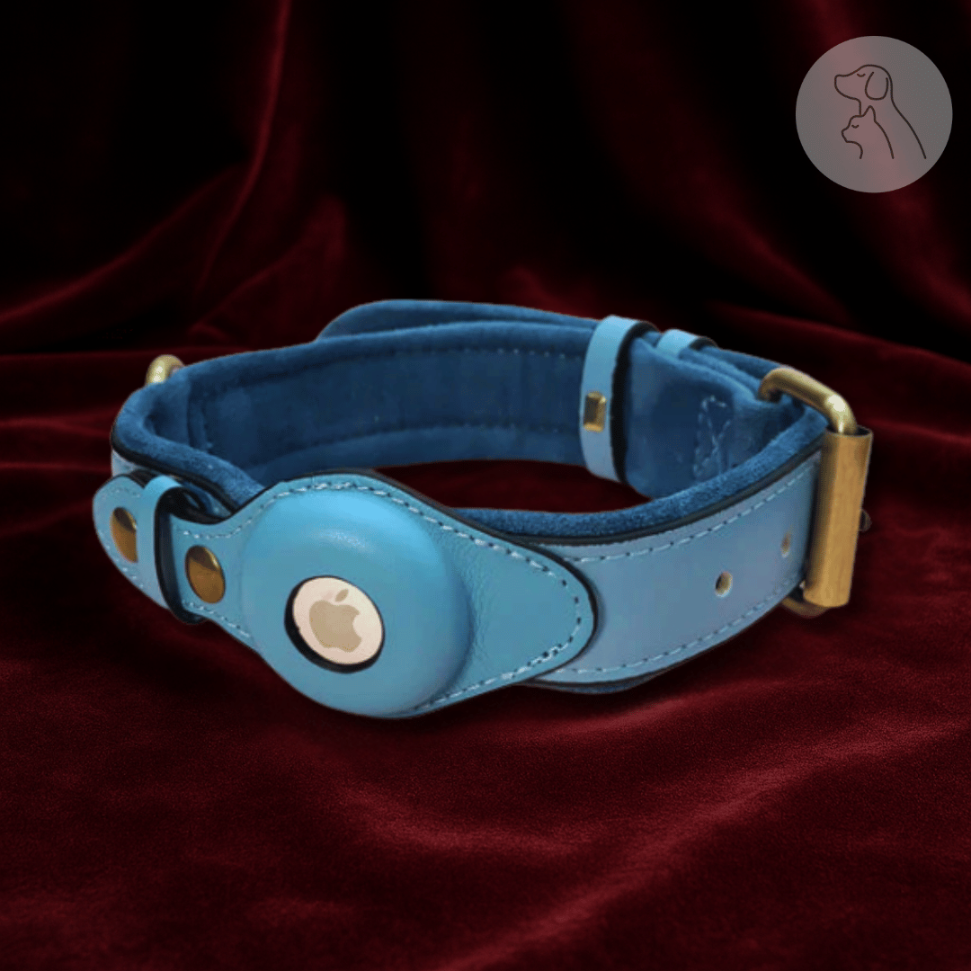 Blue dog collar with an Apple AirTag on a red velvet background.