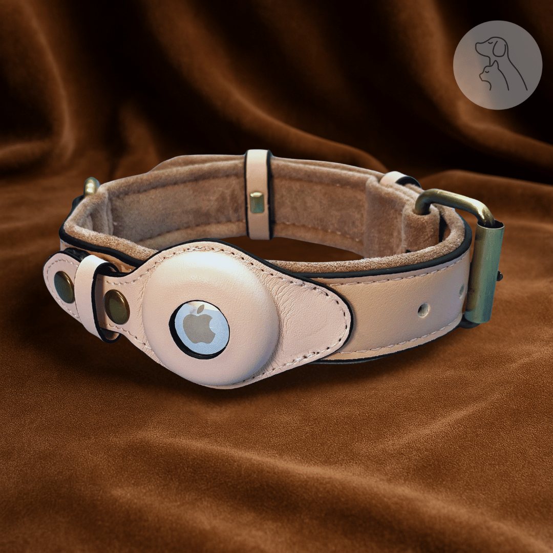 Leather dog collar with an Apple AirTag holder on a brown fabric background.