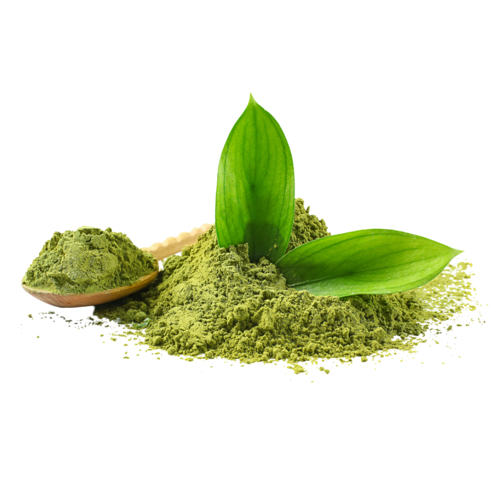 Green leaves and powder on a white background.