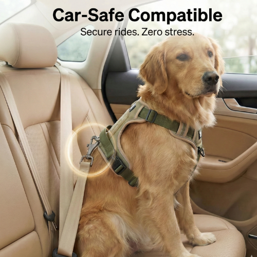 Green palm leaf beside blank white cards on a plain background.