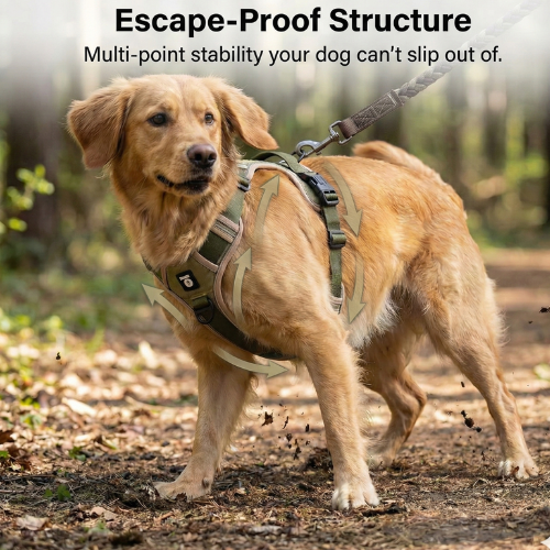 Dog wearing a secure harness in a wooded area.