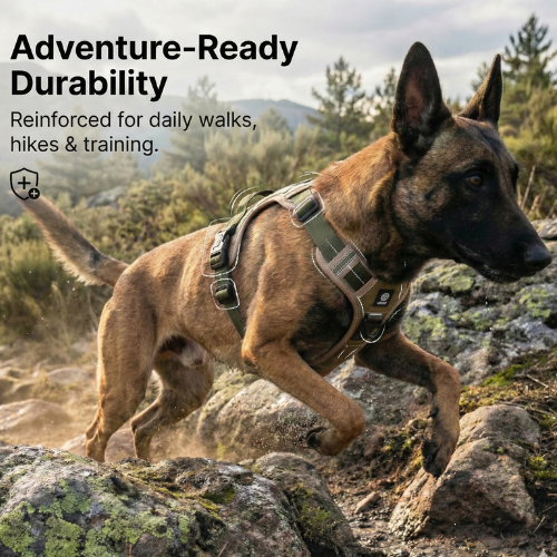 Green palm leaves against a white background.