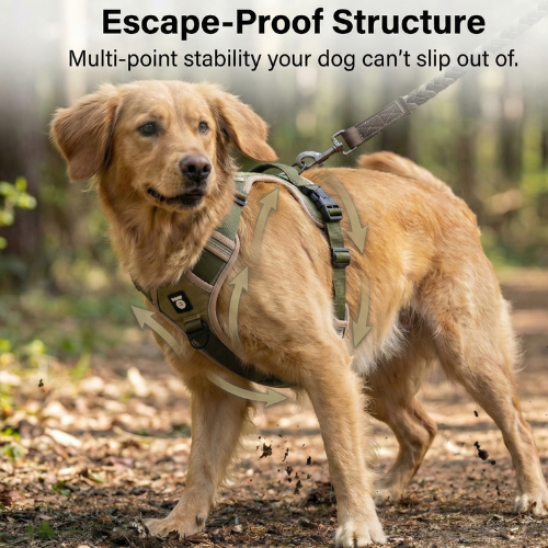 A single monstera leaf in a clear glass vase against a white background.