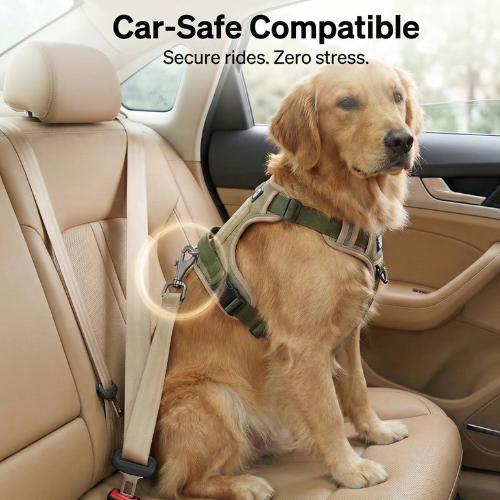 Golden retriever wearing a safety harness sitting in a car seat.