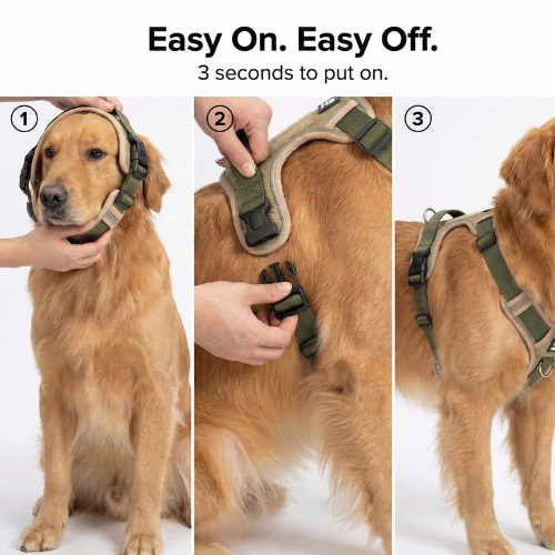 Three images showing a dog being fitted with a harness in steps.