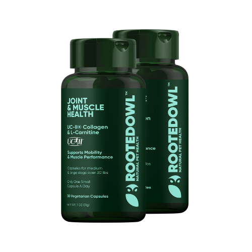 Two green bottles of Rootedowl joint and muscle health supplements.