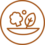 A brown line-art icon of a bowl with a floret of broccoli and a leaf inside a circle.