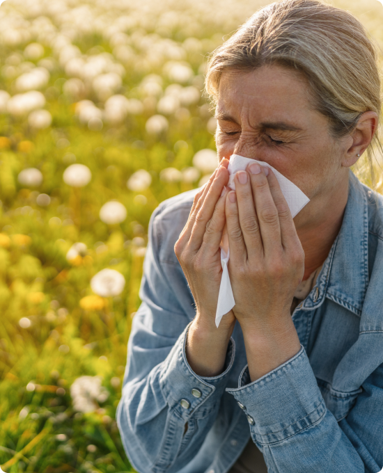 A woman in a denim shirt sneezes into a tissue while sitting in a field of dandelions.