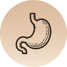A line drawing icon of a human stomach inside a beige circle.