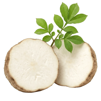 Konjac Root