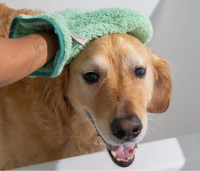 A person dries a wet golden retriever's head with a green towel mitten.
