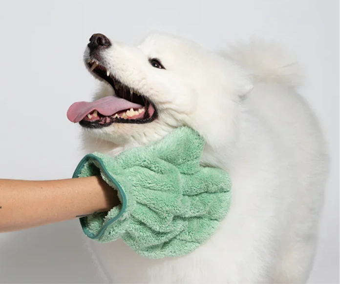 A person wearing a green textured mitt pets the chest of a fluffy white dog.