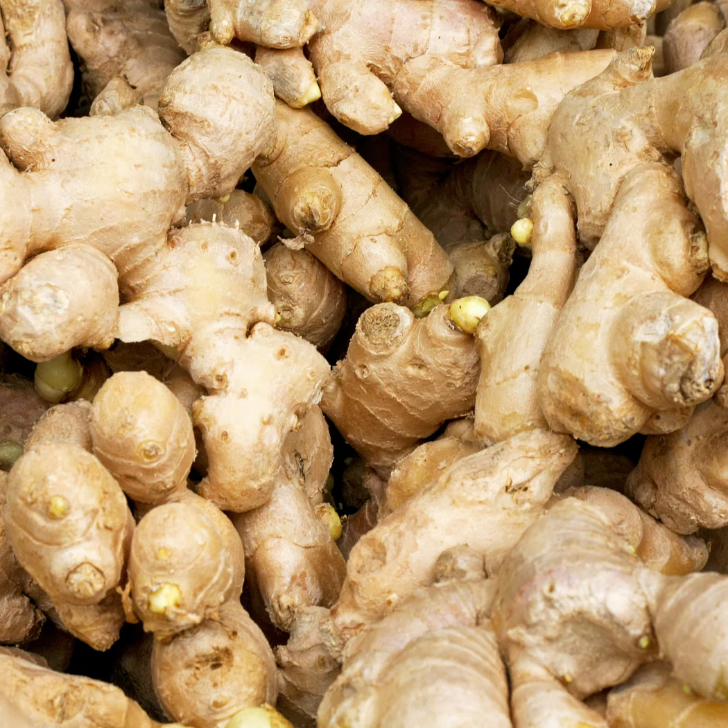 Close-up of a pile of fresh ginger roots.