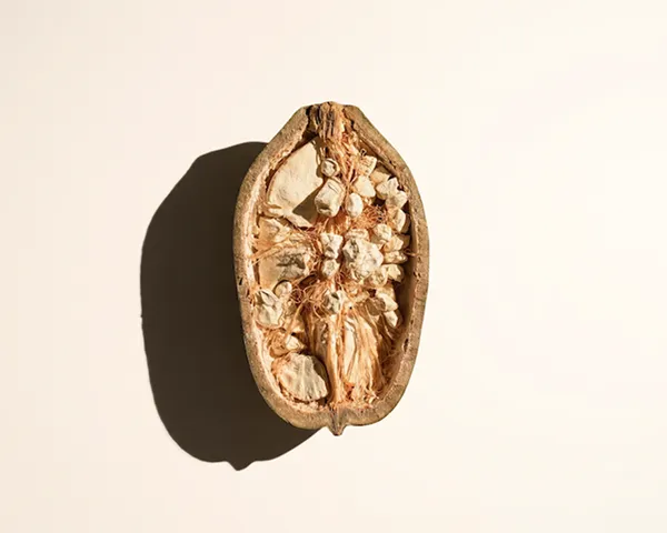 An overhead shot of a baobab fruit pod cut in half against a plain off-white background.