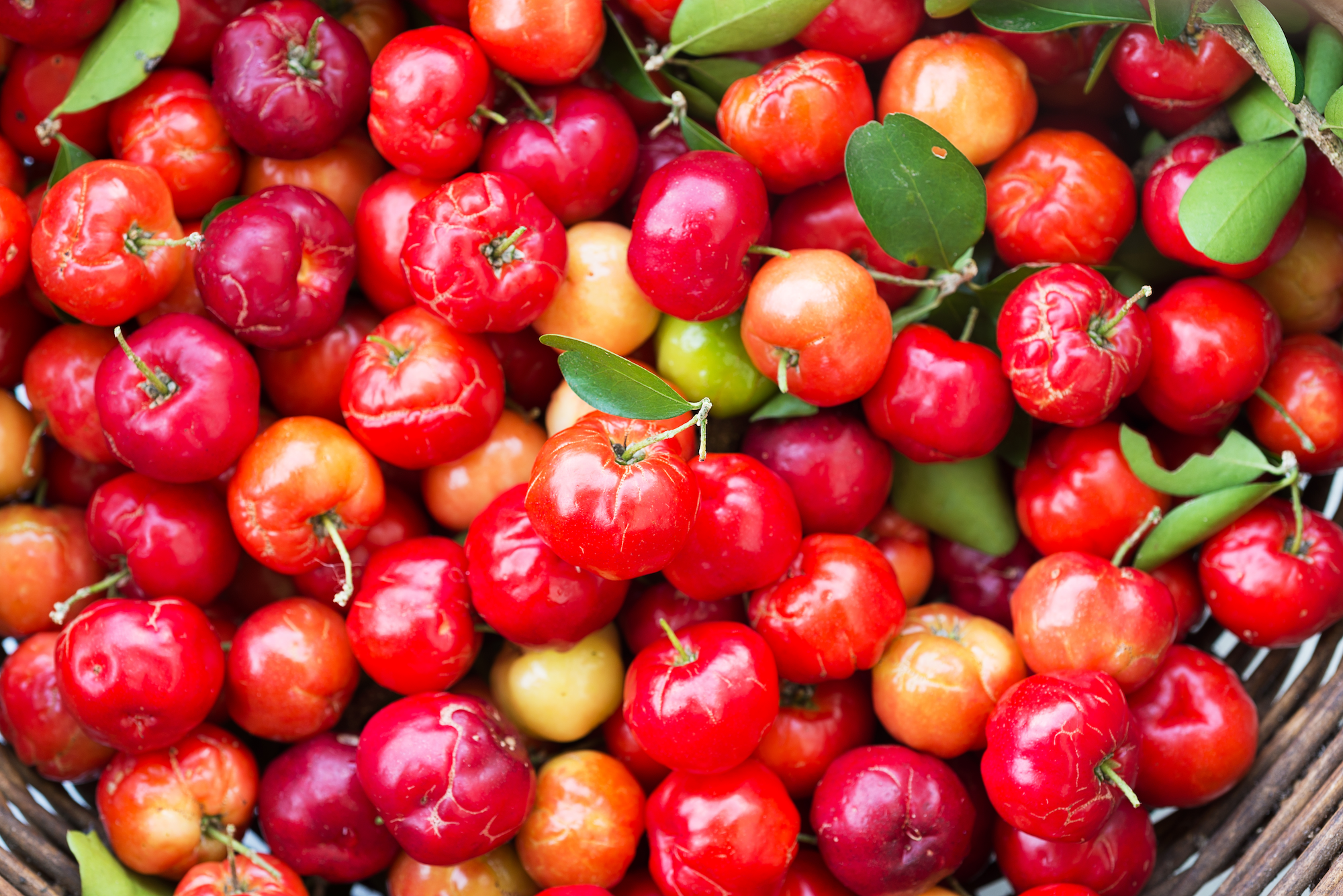 A basket filled with vibrant red and orange cherries with green leaves.