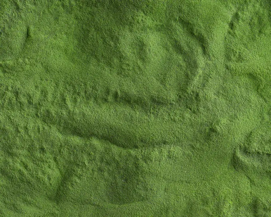 A close-up, overhead view of a textured, fine green powder.
