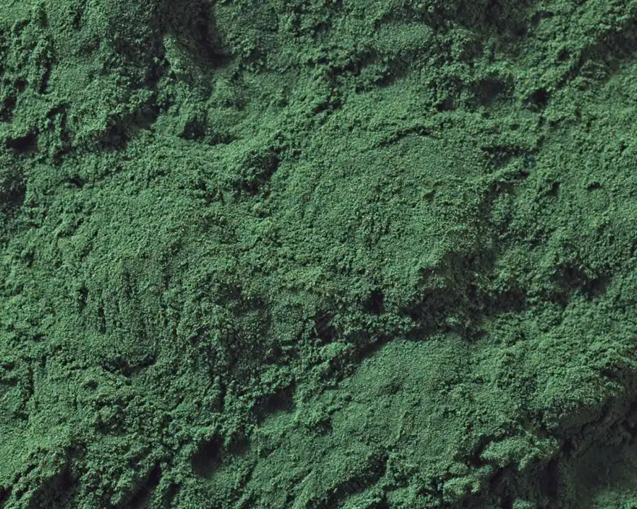 A close-up, overhead shot of a pile of fine, dark green powder with a textured surface.