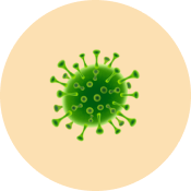 An illustration of a green virus particle on a circular orange background.