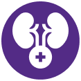 A white icon of kidneys and a medical plus symbol inside a purple circle.