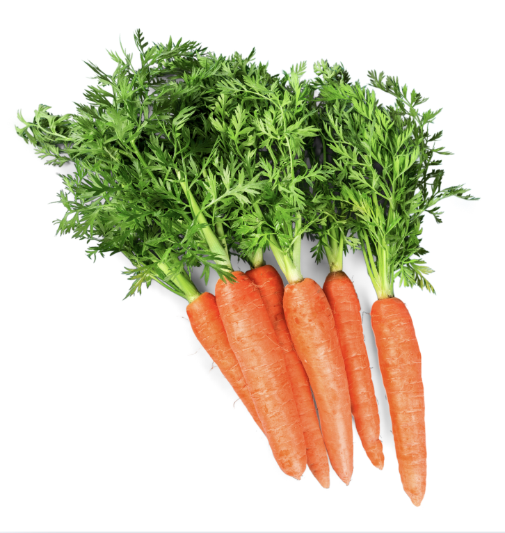 Two fresh carrots with green leaves attached.