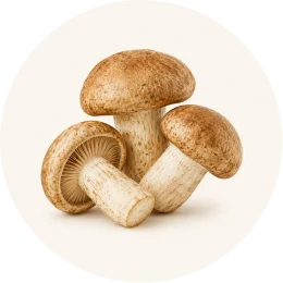 A circular image showing three brown-capped mushrooms with thick stems against a light background.