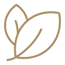 A tan outline of two leaves on a solid green background.