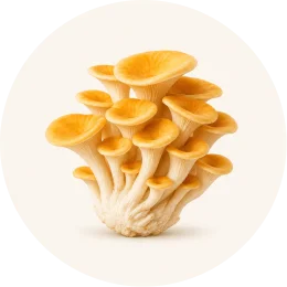 A cluster of golden yellow mushrooms inside a circular frame on a plain, light background.