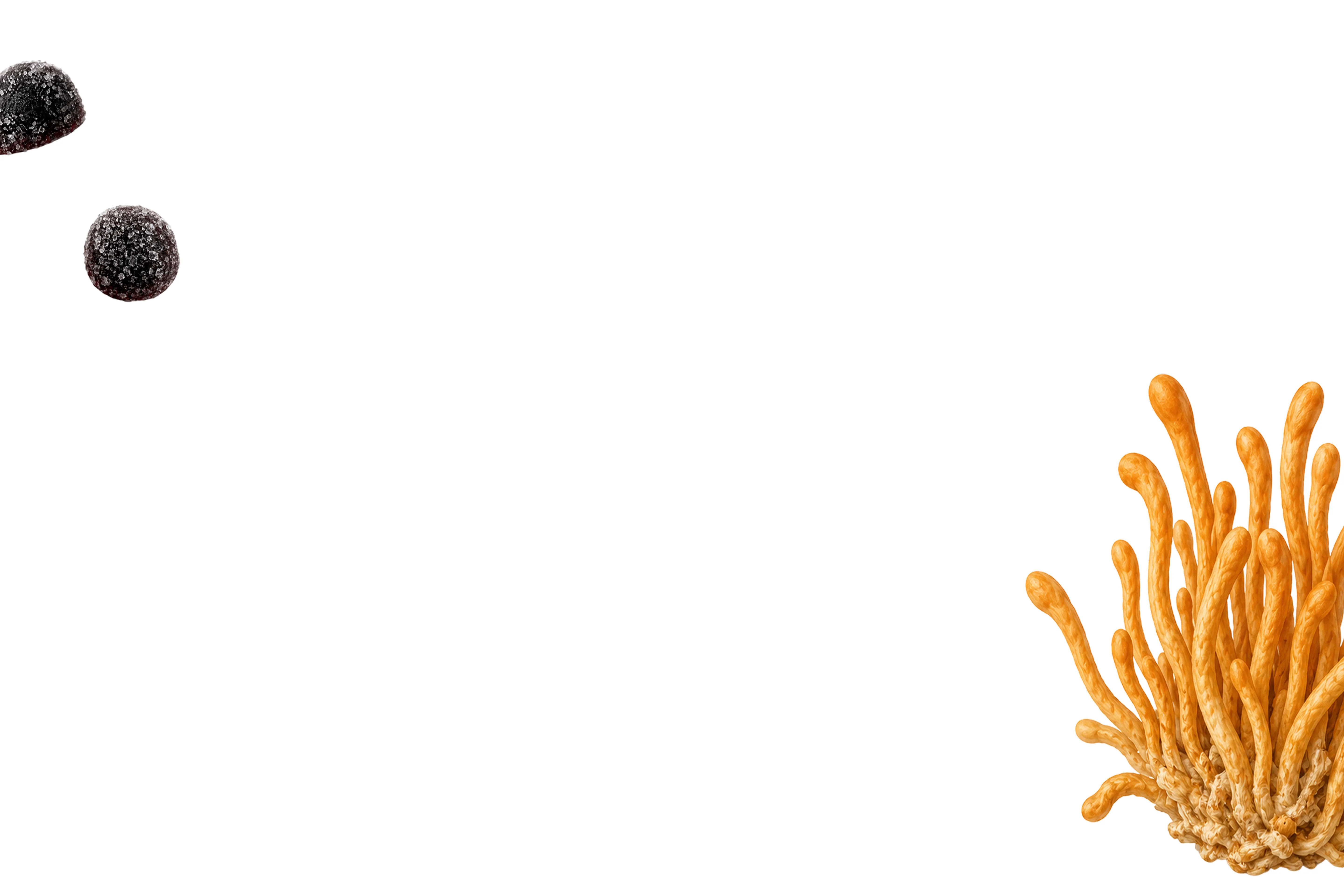 Two dark, sugar-coated gummies and a cluster of orange cordyceps mushrooms against a white background.