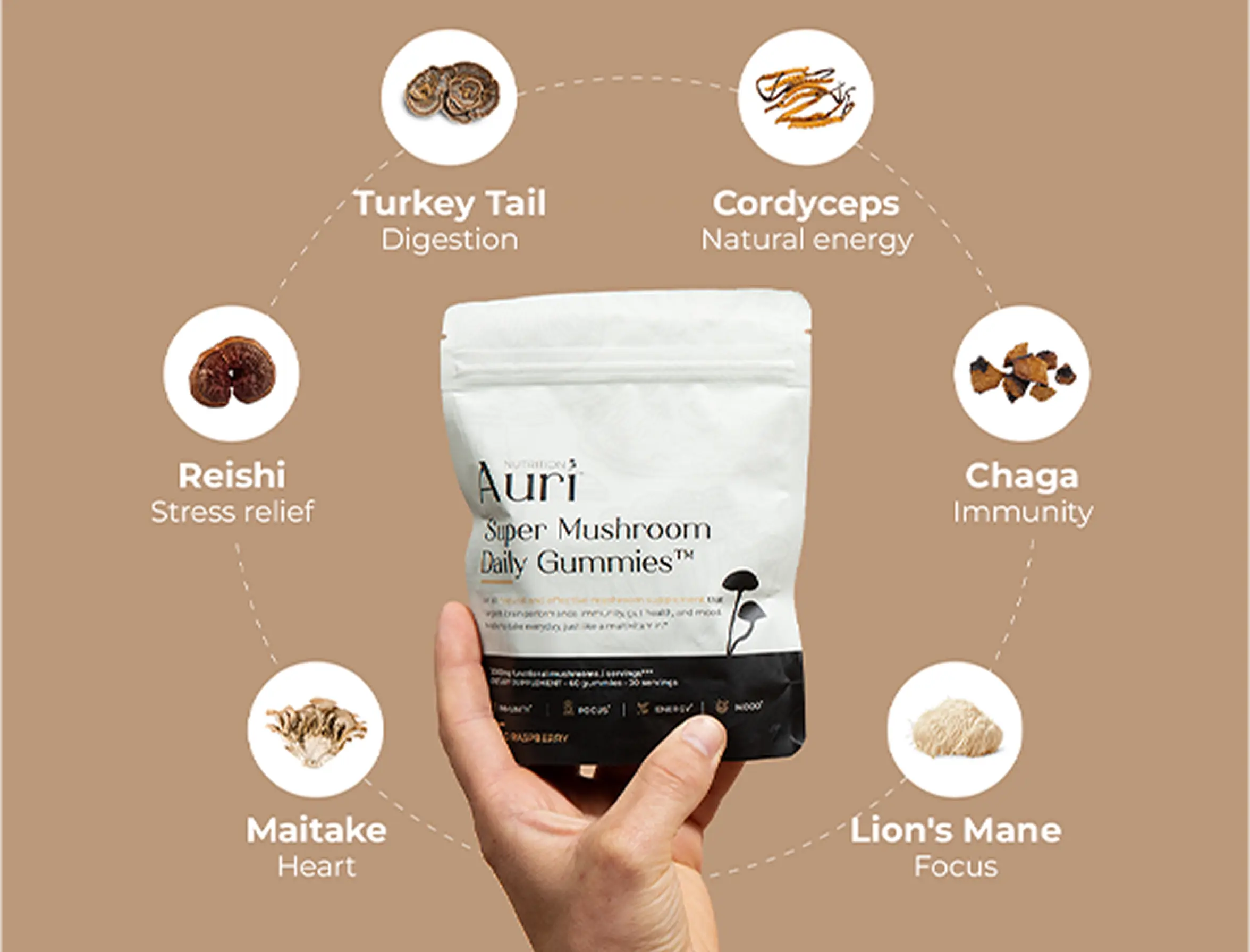 Hand holding Auri Super Mushroom Daily Gummies with benefits of various mushrooms illustrated around.
