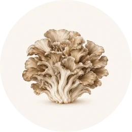 A sepia-toned illustration of a cluster of maitake mushrooms inside a circular frame.