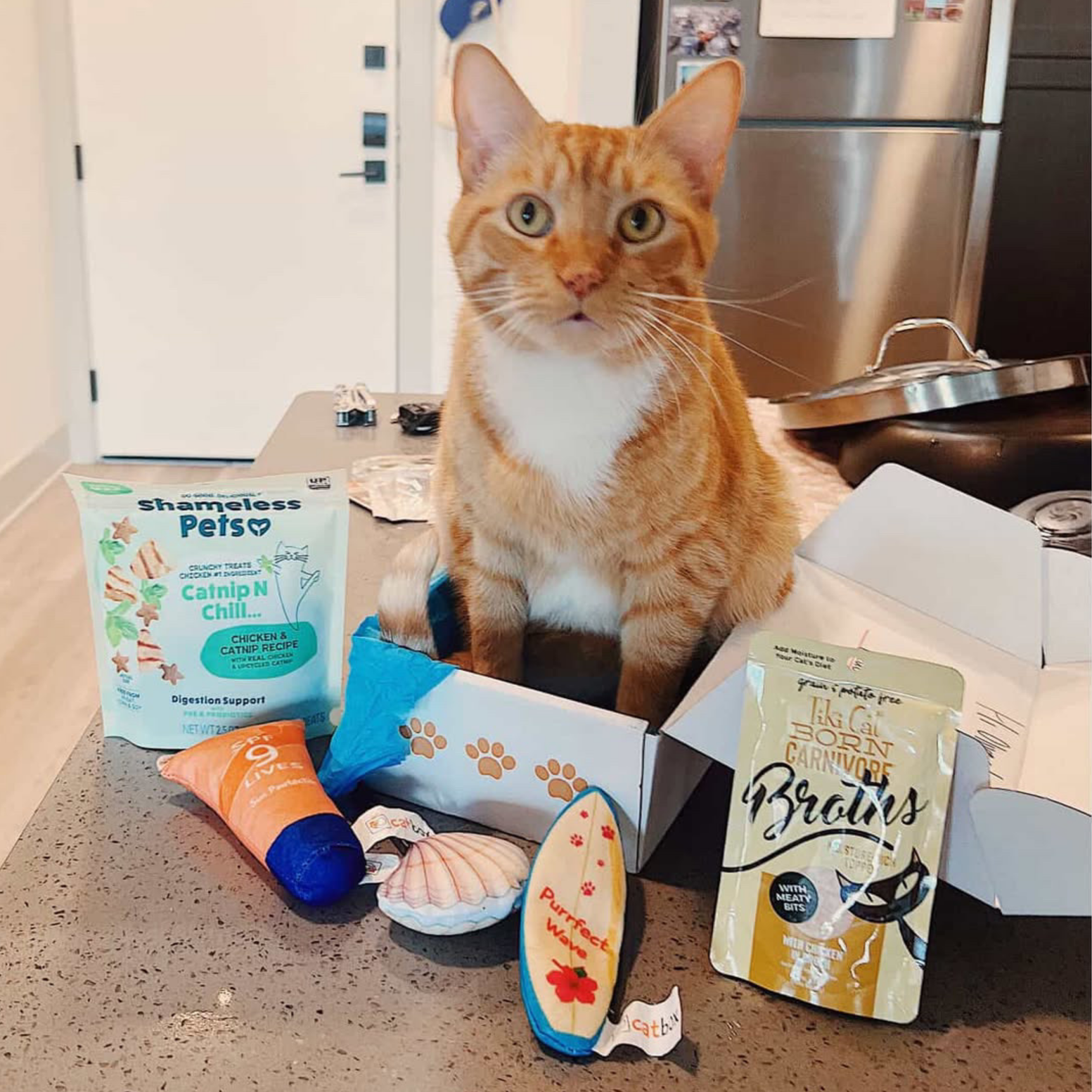 An orange cat with a white chest sits in a box on a counter surrounded by toys and treats.
