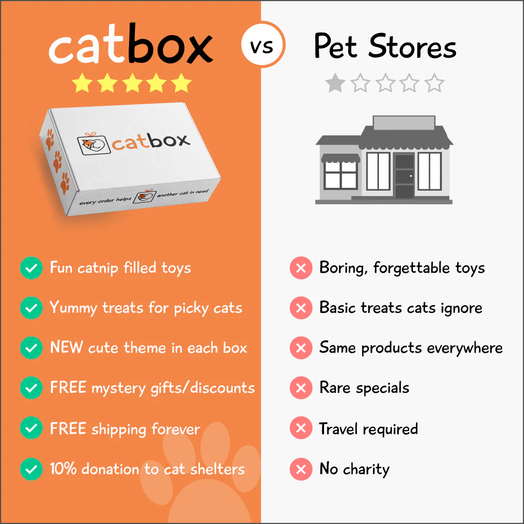 An infographic comparing the benefits of a 'catbox' subscription service to the drawbacks of pet stores.
