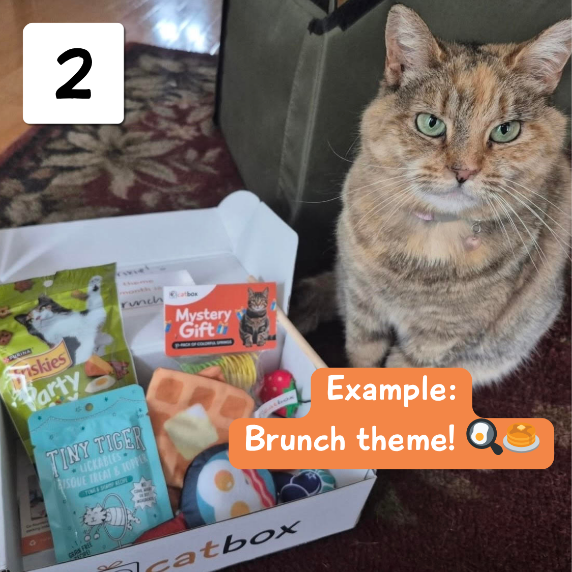 Cat sitting next to a box of cat toys and treats labeled 'catbox.'