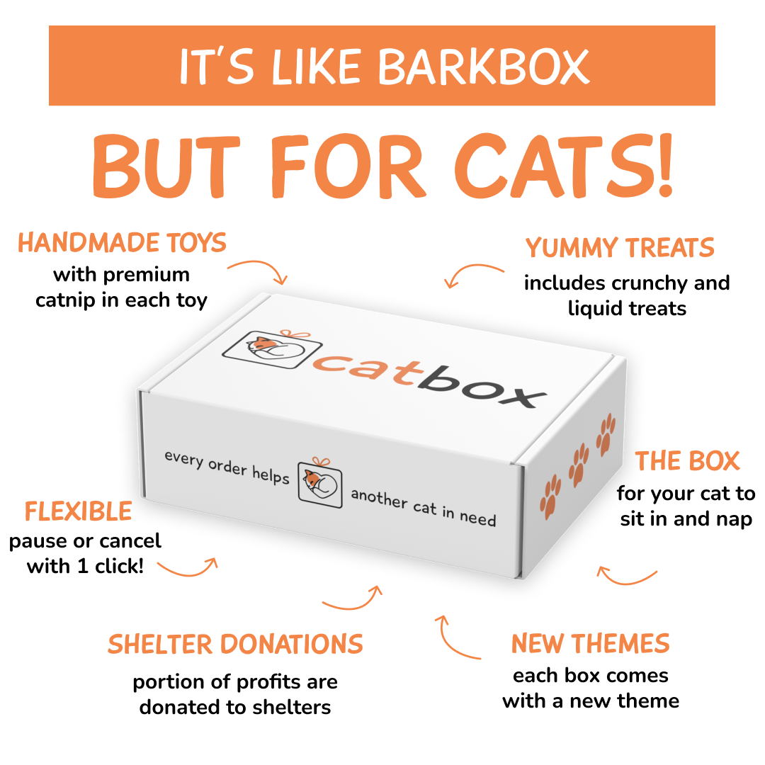 An infographic for a subscription service called Catbox, detailing its features around a central image of the box.