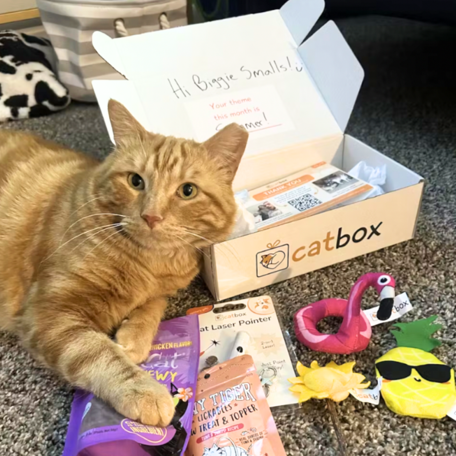 An orange tabby cat lies on the floor with an open Catbox subscription box and various treats and toys.