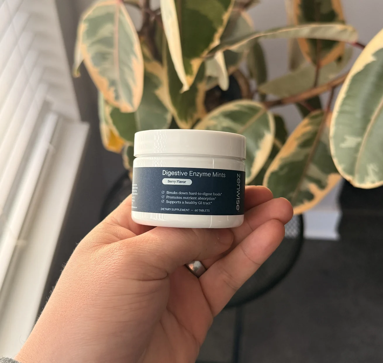 A hand holds a small white jar of Digestive Enzyme Mints in front of a variegated plant.