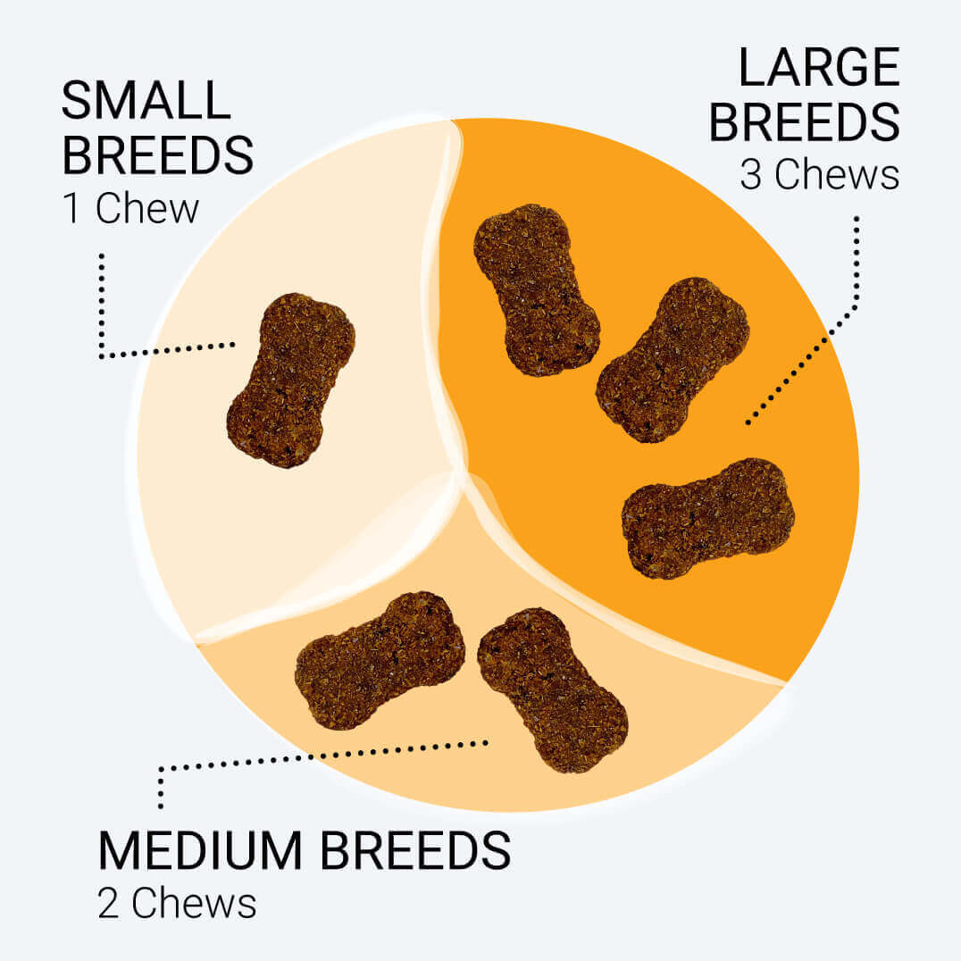 Diagram showing dog chews for small, medium, and large breeds.