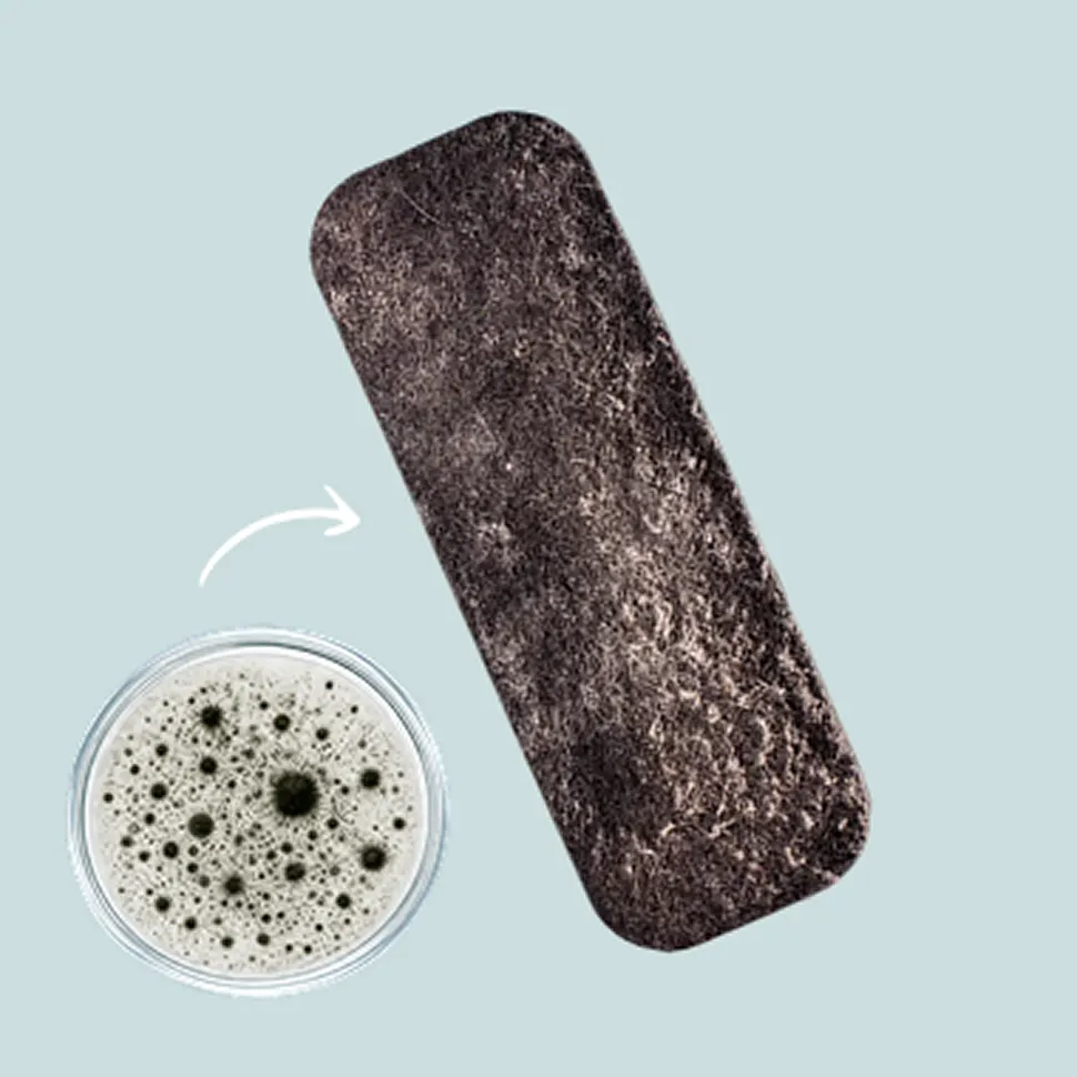 A dark, textured rectangular object with an arrow pointing to a petri dish containing dark spots.