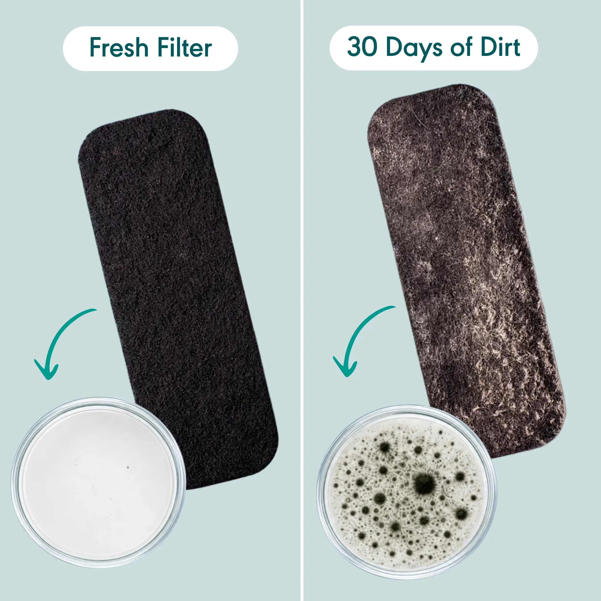 A before-and-after comparison of a filter, showing a clean one versus one after 30 days of use.
