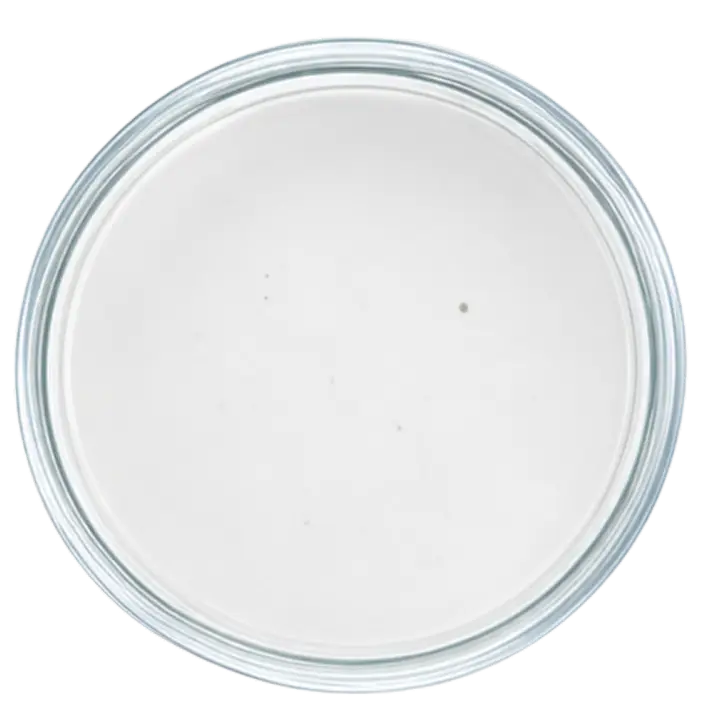 An overhead view of a petri dish containing a smooth, opaque white substance on a white background.