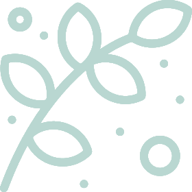 Simple line drawing of a branch with leaves and circles.