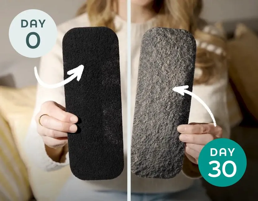 A Barnakl pad on day 0 and on day 30