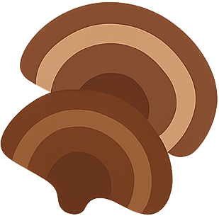 Two overlapping brown abstract fan shapes on a brown background.