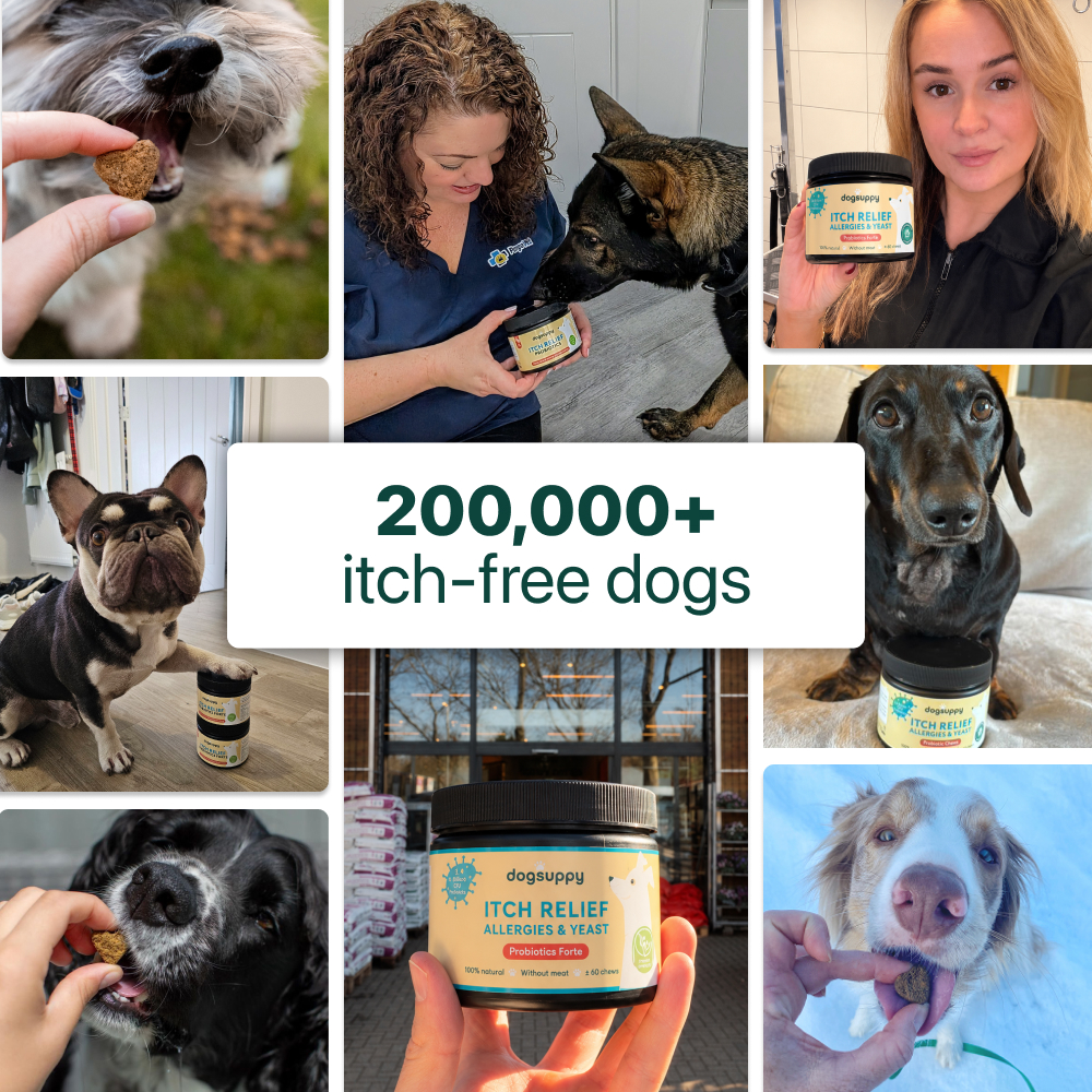 A photo collage of various dogs with a pet supplement product called 'dogsuppy Itch Relief'.