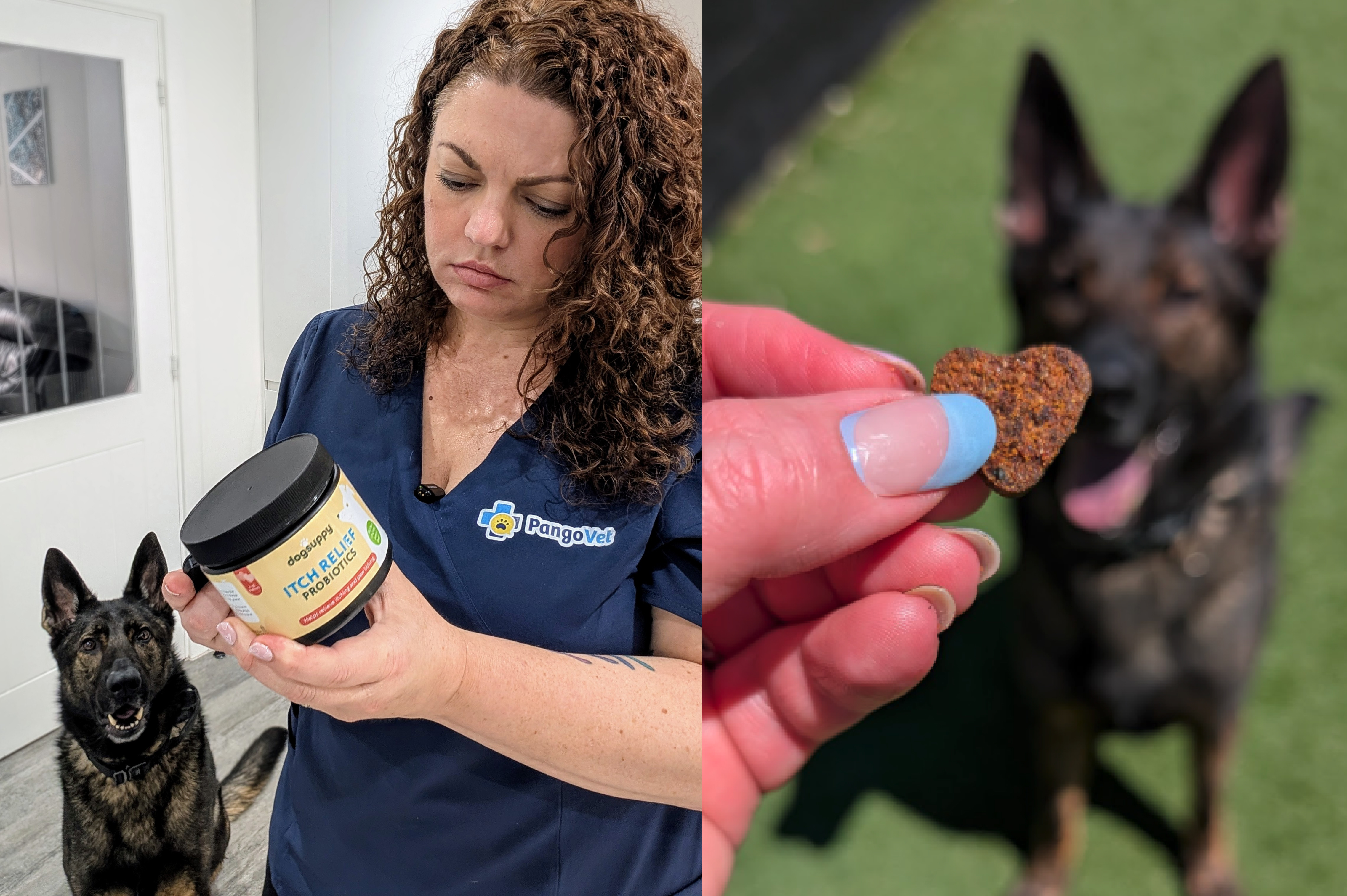 A woman holds a probiotic container, and a hand holds a heart-shaped treat near a dog.