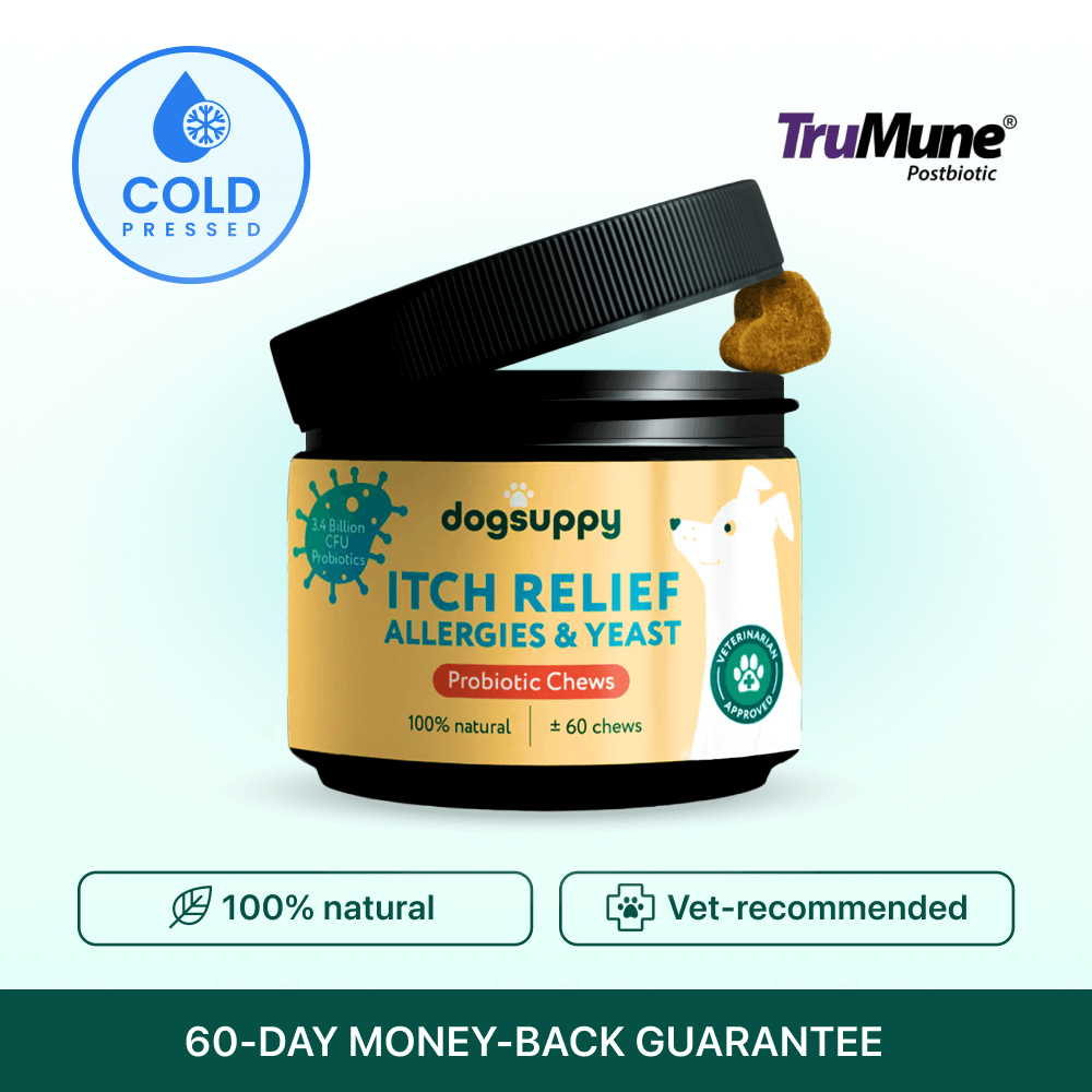 Dog supplement labeled for itch relief with opened jar, vet-approved mark, and cold pressed icon.