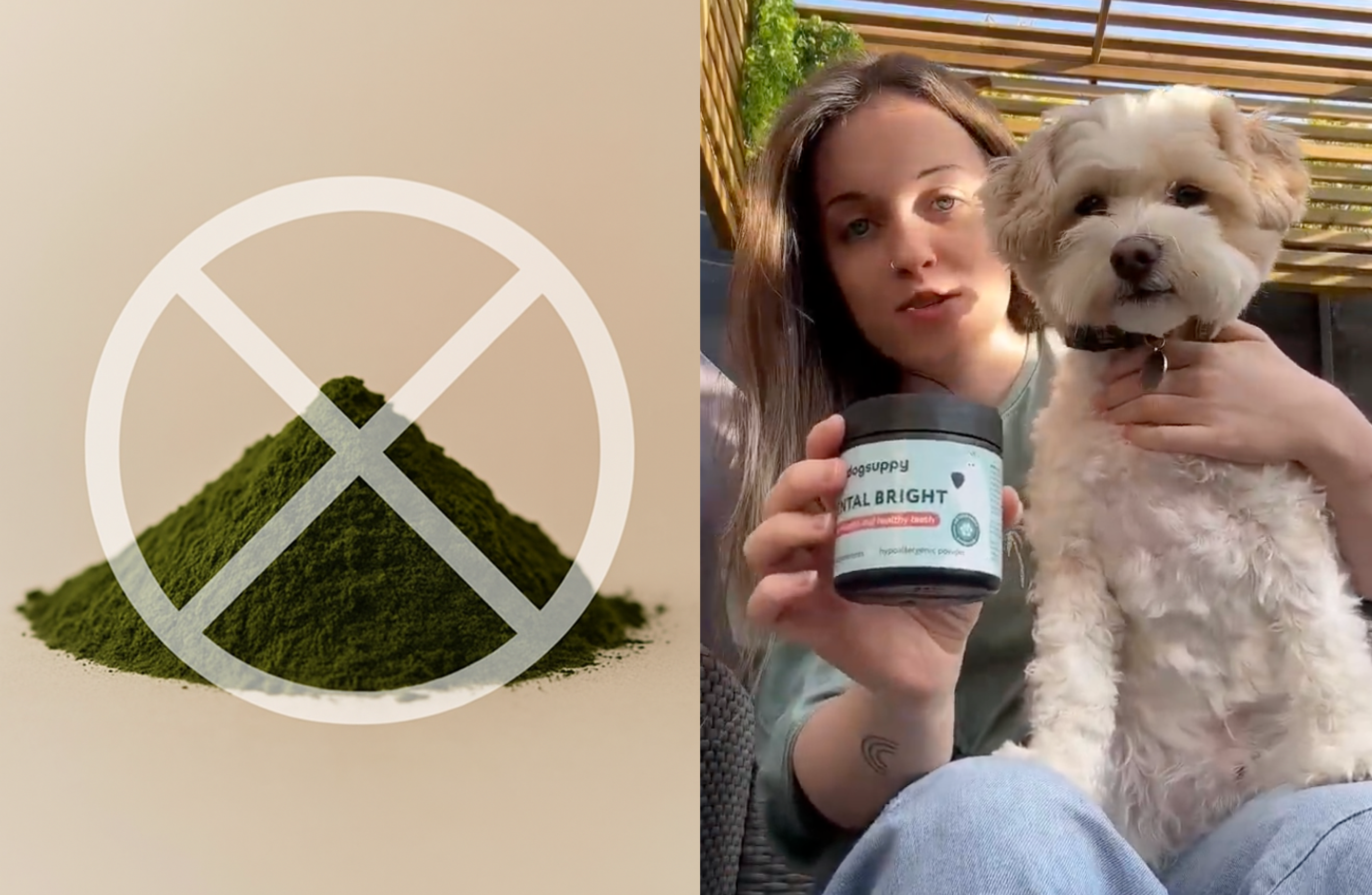 Split image: green powder with a cross, woman holding a dog and a product jar.