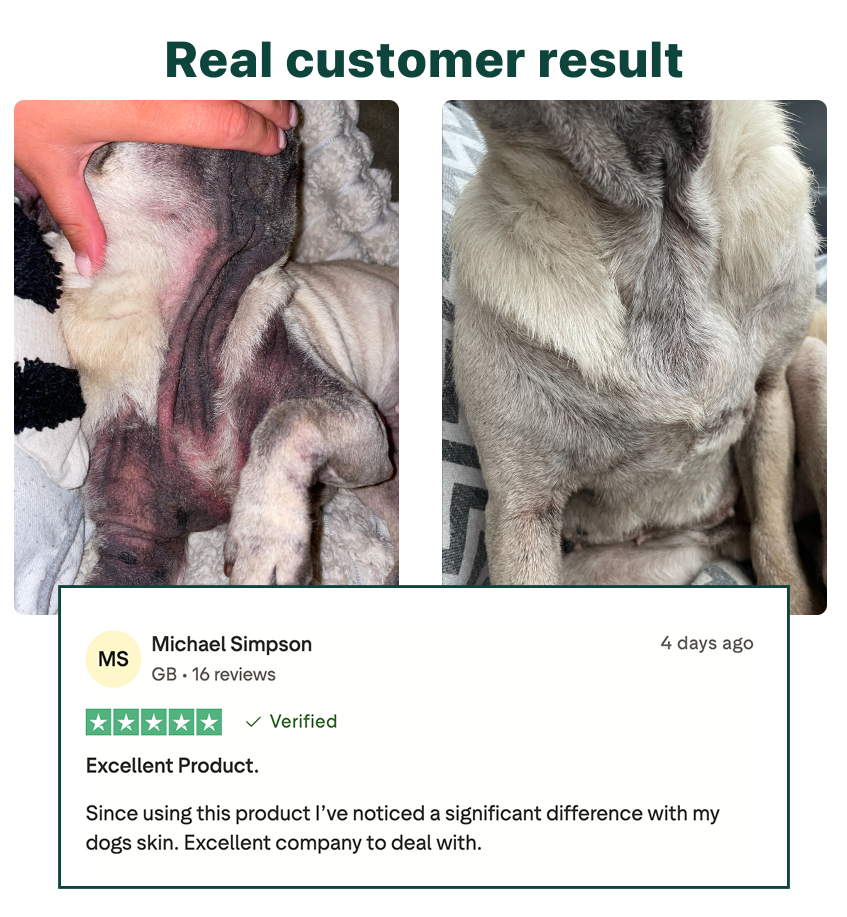 Before and after photos showing a dog's skin healing from severe irritation, with a customer review below.