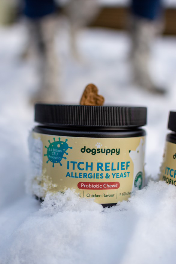 A jar of dogsuppy Itch Relief probiotic chews sits in the snow with a heart-shaped treat on top.