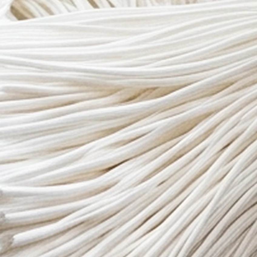 A close-up, macro shot of a bundle of thin, white, elastic-style cords laid out together.